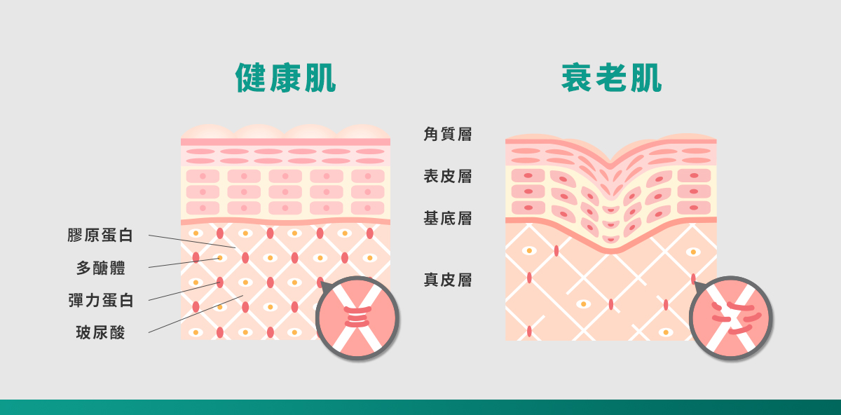 鳳凰電波2